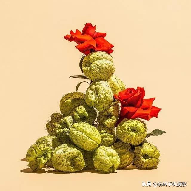 在家拍摄100个创意技巧,在家拍摄100个创意摄影方案