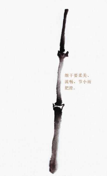 画竹子的简单画法水墨初学,竹子没骨画教程