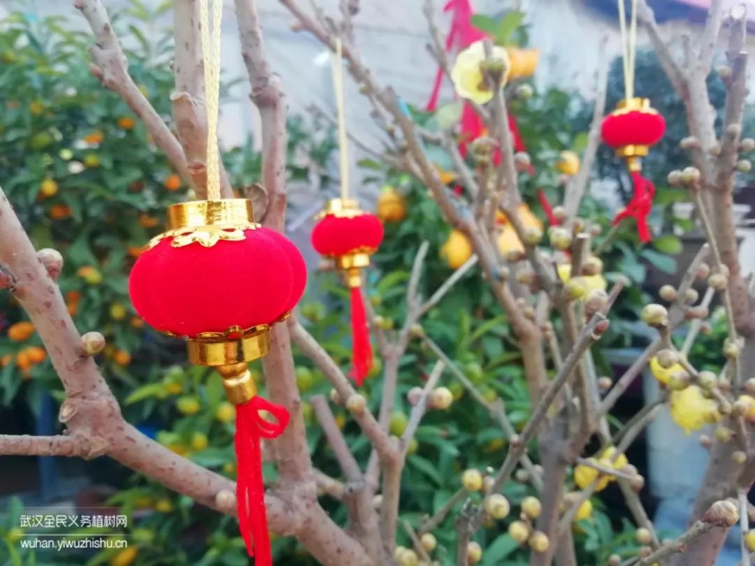 园艺沙龙|前方高能！一大波人相约逛花市，究竟淘了些啥？