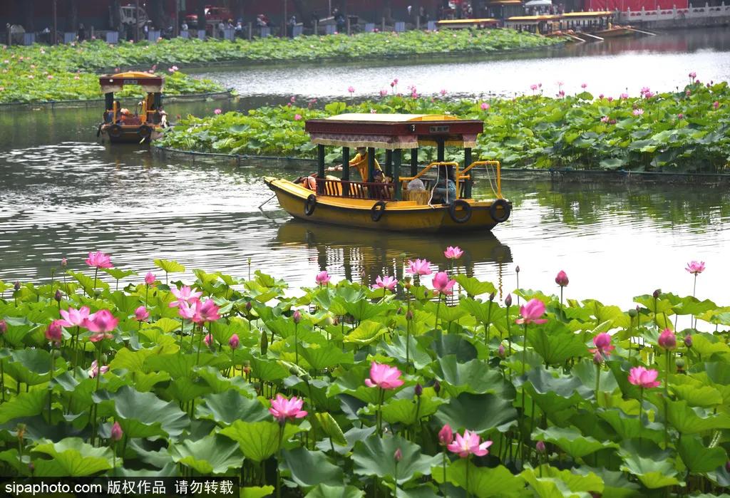 适合冬天去的北方小众海边,北京最近的两日海边旅游适合赶海