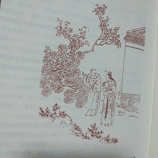 脂砚斋评红楼梦每回概述,脂砚斋三个字揭示红楼梦