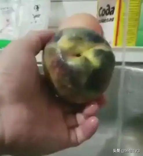 碱面洗桃子变黑是怎么回事,用食用碱洗桃子变黑还能吃吗