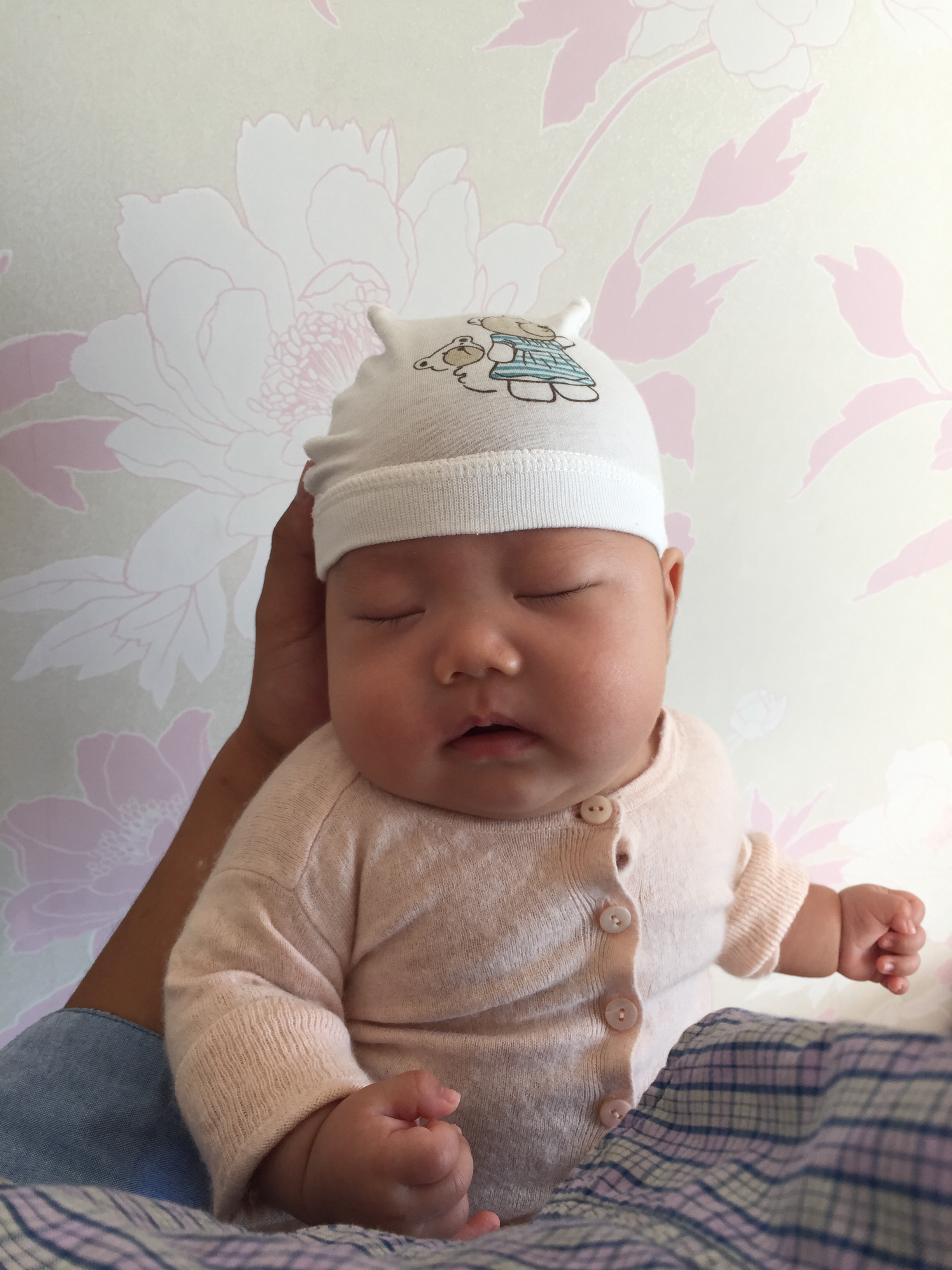 一份营养合理的一日食谱,学生营养餐一日食谱视频