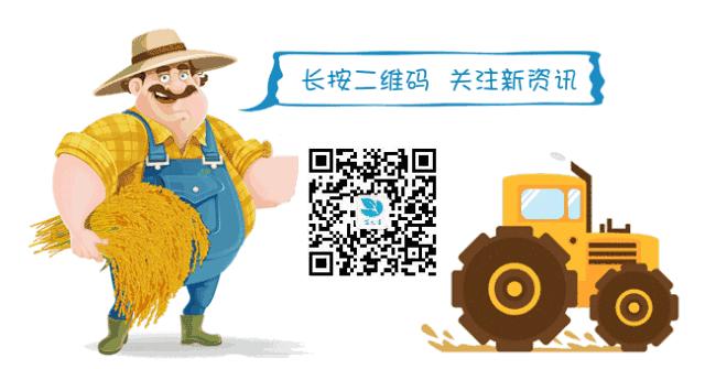 月饼在哪个网站购买便宜,网上购买月饼的网站