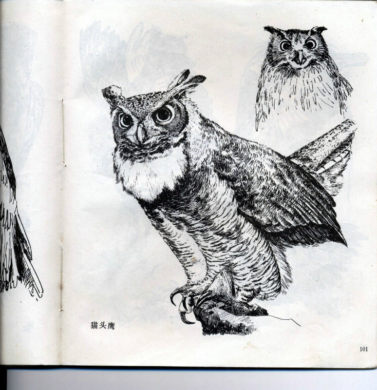 一百幅动物素描,近百幅动物画