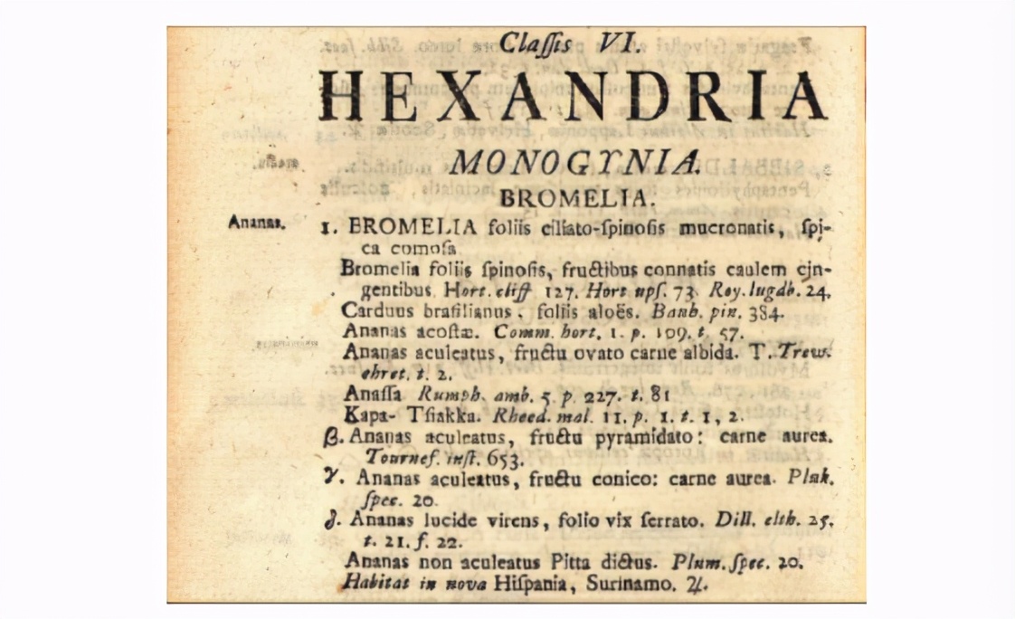 哥伦布发现菠萝,哥伦布航海的影响