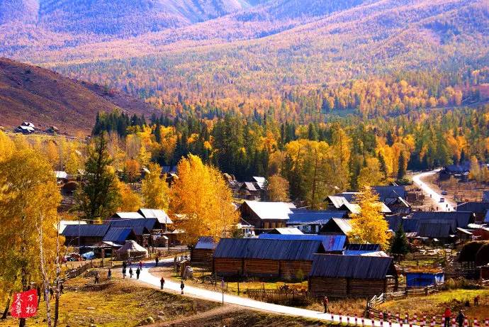 中国鸡尾,中国鸡尾巴