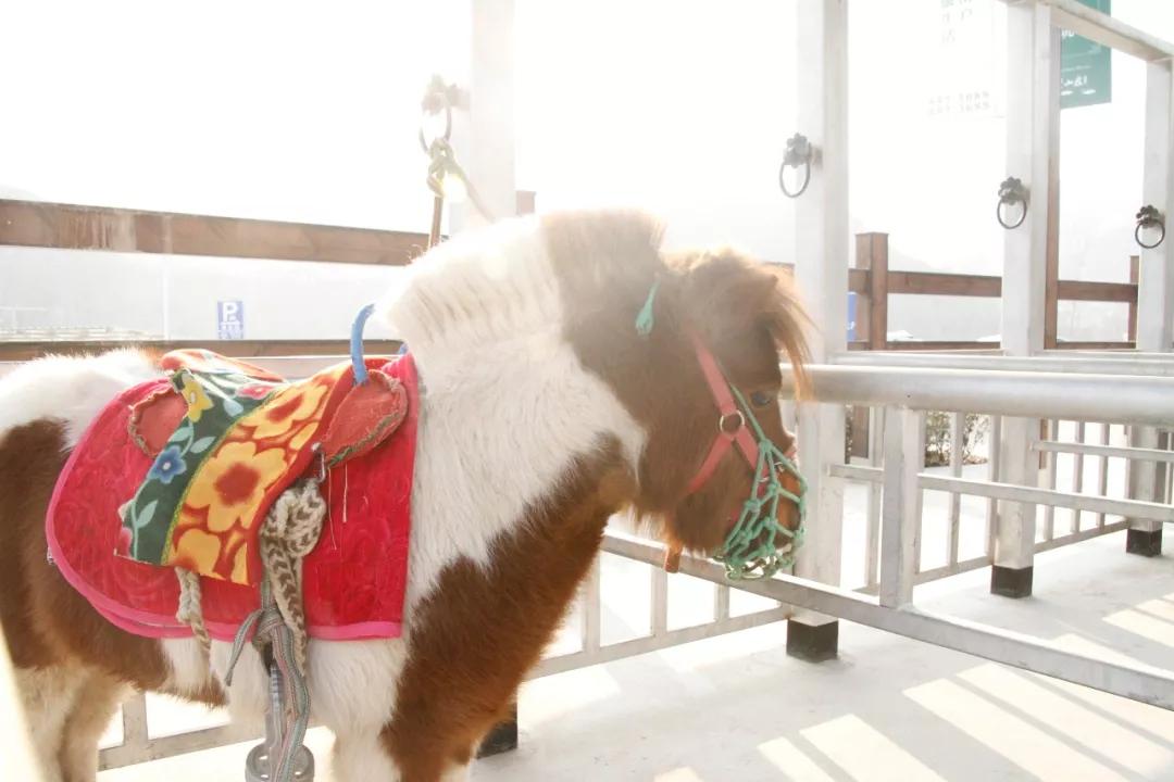 漫步亭台楼阁,河北亭台楼阁避暑山庄