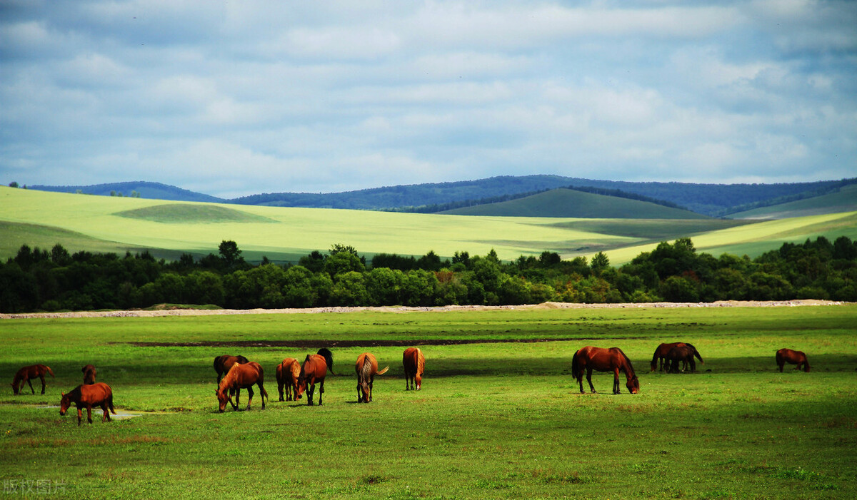 恢复跨省团队旅游业务,内蒙古跨省团队旅游业务