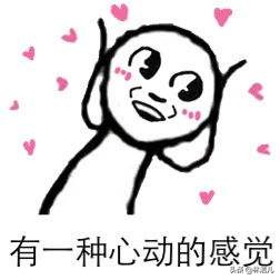 chaneldior高级定制系列,dior香奈儿chanelysl