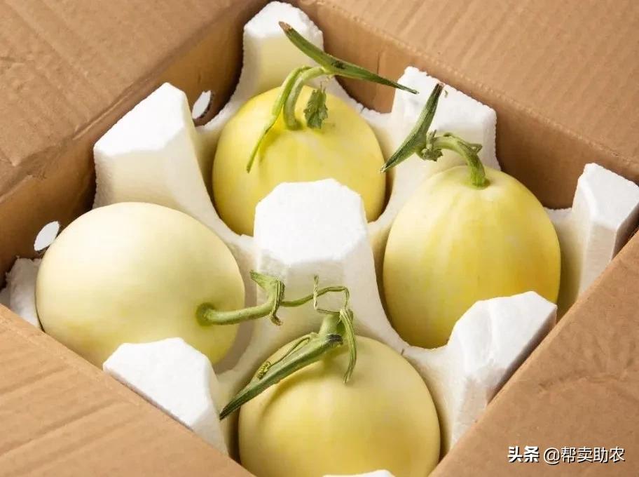 5岁小朋友吃饭狼吞虎咽,4-6岁儿童必吃美食