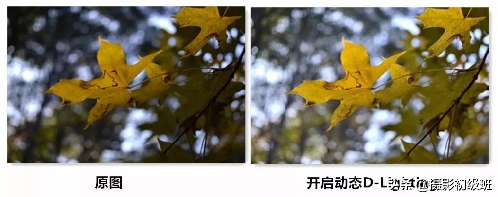 相机常规设置学摄影的你要知道,摄影相机基础推荐