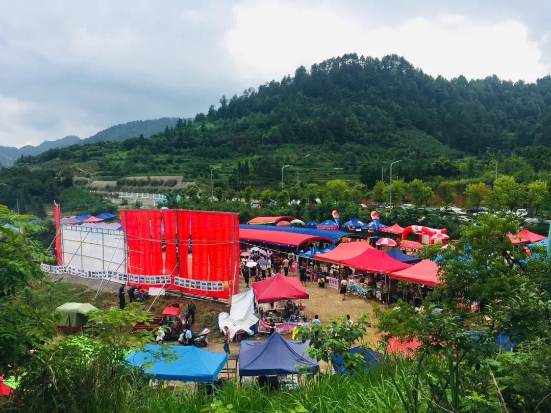 羊安杨梅节直播,羊安杨梅采摘