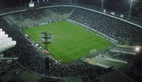 mg世界观完整视频,mg进化史完整版过程