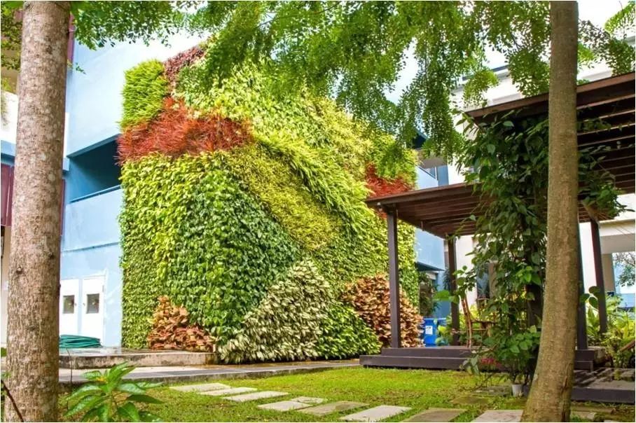 pvc塑料绿植,绿植盆里的塑料