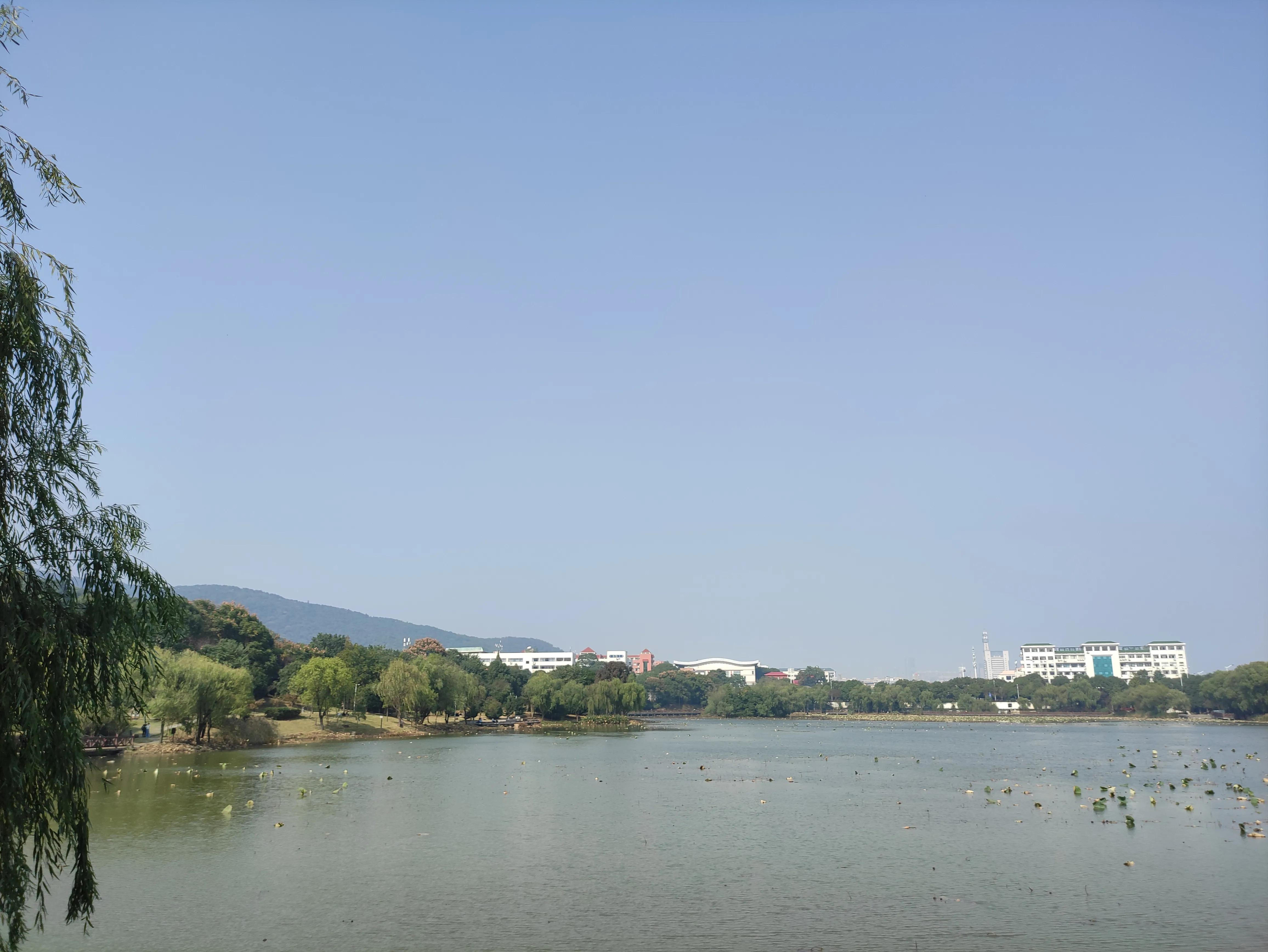 一定要带孩子去这几个城市走走,一生中一定要带孩子去的五个城市