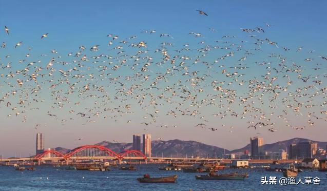 东方夏威夷国际旅游度假区,养马岛后海东方夏威夷