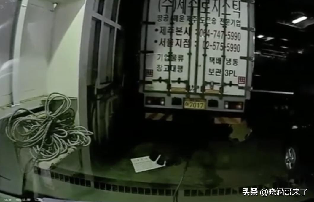 韩国世越号为什么学生不弃船,中国救援韩国船世越号发现了什么