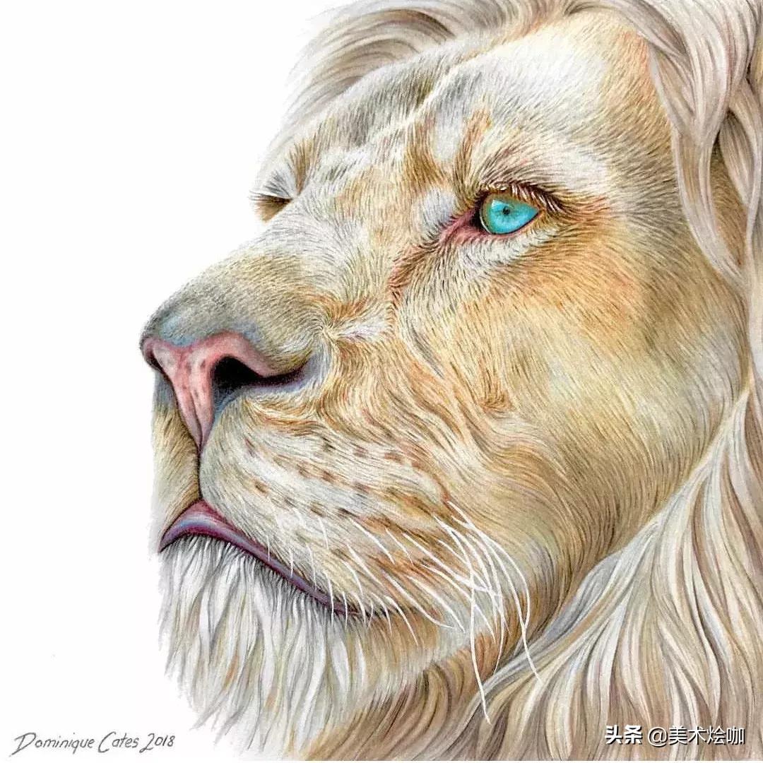 画的比照片还逼真,画的比照片还真实