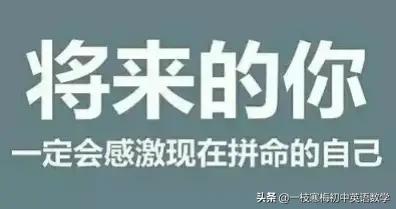 初中英语单词重点词汇,英语词汇表的英语单词