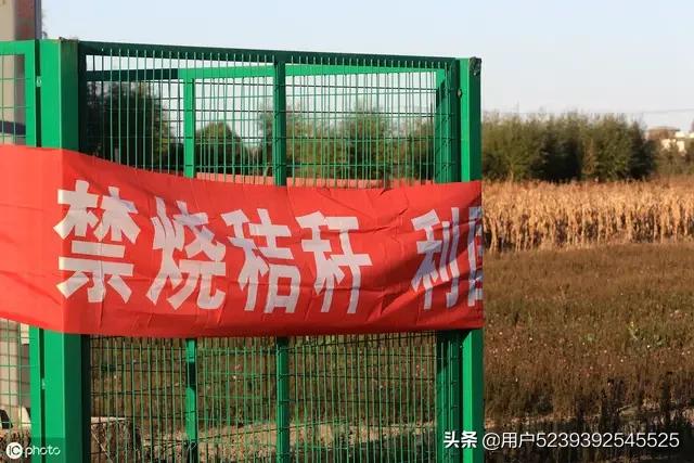 秸秆燃烧锅炉,秸秆净化焚烧炉