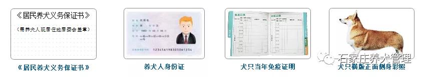 石家庄犬证提前多久年检,石家庄犬只准养证年检
