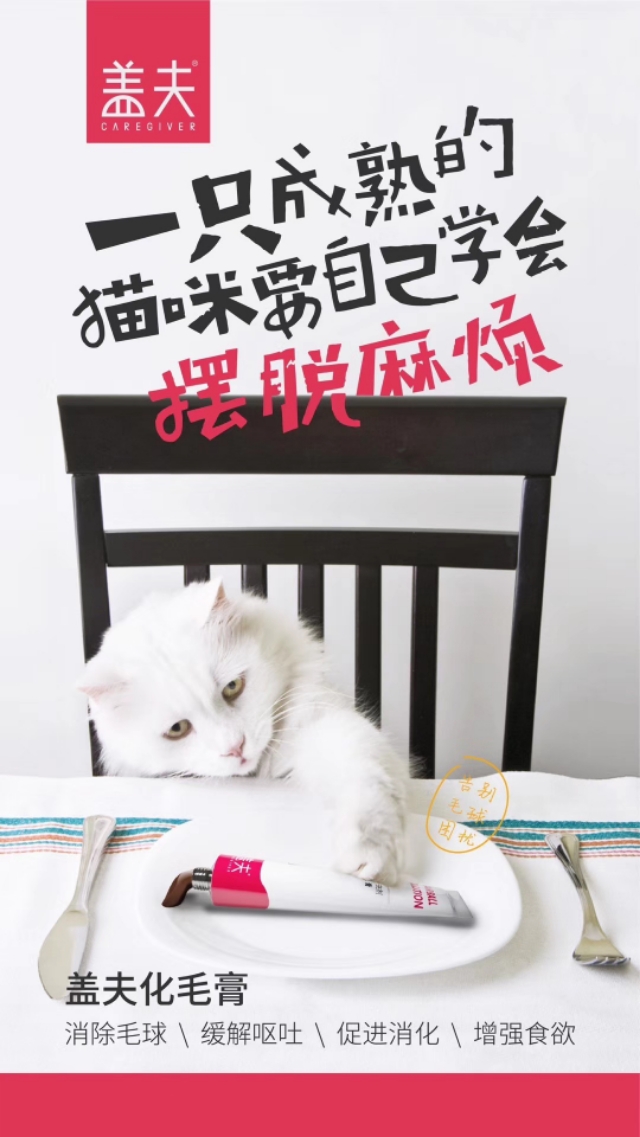 养猫养狗基本常识,养猫基本常识搞笑