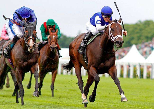 2006年切尔滕纳姆赛马节,世界顶级名马比赛视频表演