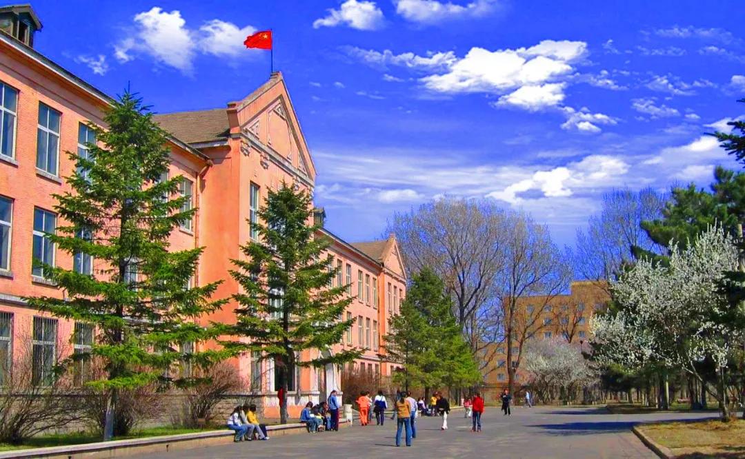 以省命名，存在感却很低，被误认为普通高校，辽宁大学实力如何？