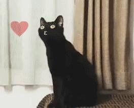 十块钱的假睫毛推荐,10块钱以内的整根假睫毛