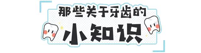 牙齿最坚硬的部分叫什么,怎么判断牙齿的磨损程度