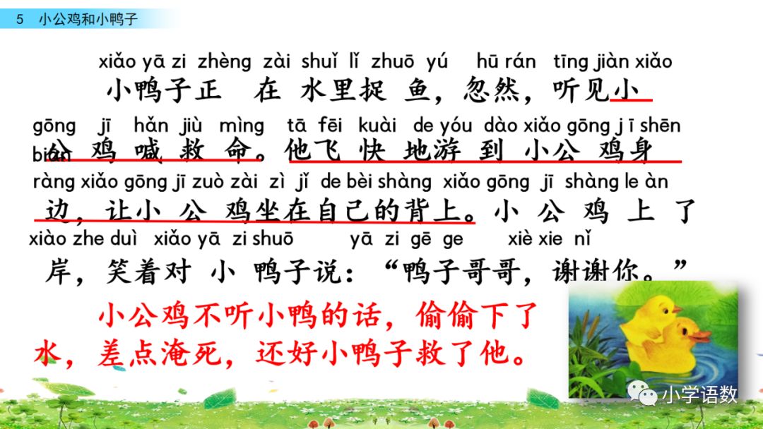 一年级下册第5课小公鸡和小鸭子,小公鸡和小鸭子一年级下册生字