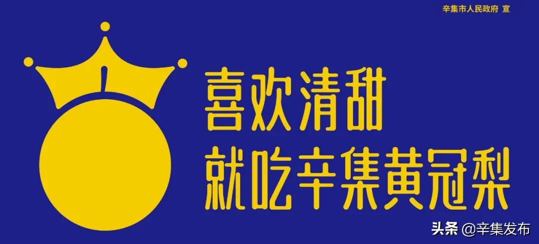 小学、社区、医院，3名*党**支部书记这么说…