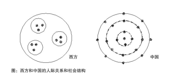 什么鸟代表了美好的象征,什么鸟有好处