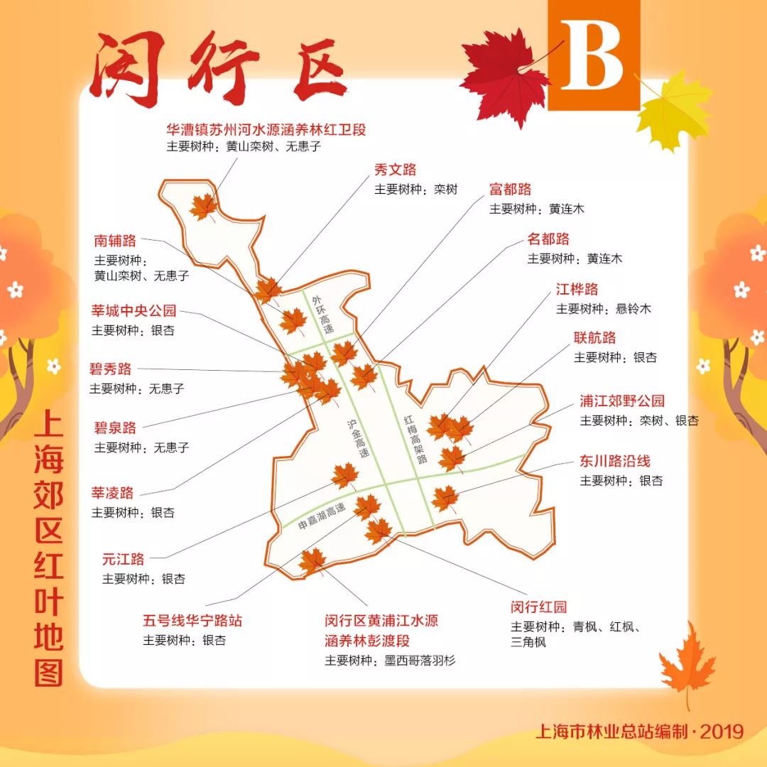 赏枫地图,赏红叶正当时