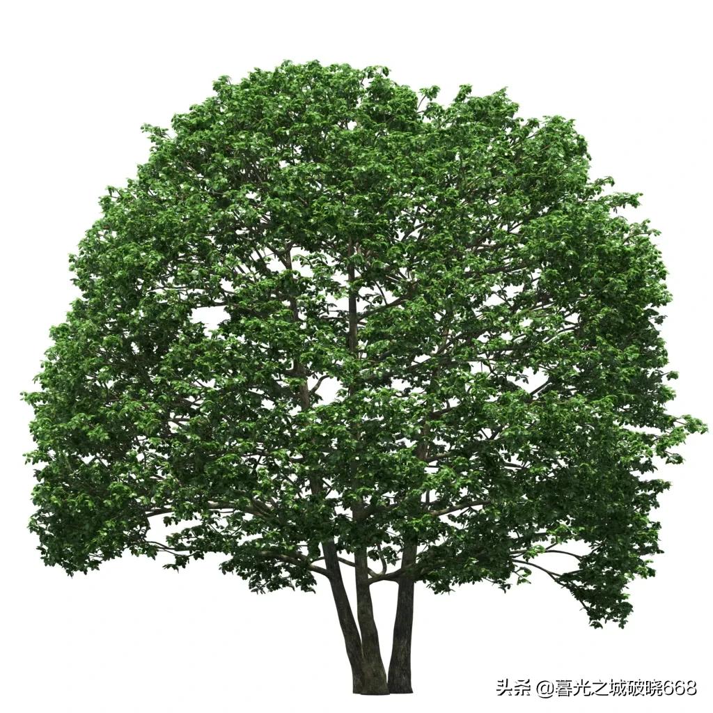 满腹经纶饱读诗书,满腹经纶才高八斗