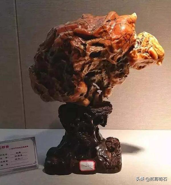 什么样的奇石好,什么样的奇石才值钱