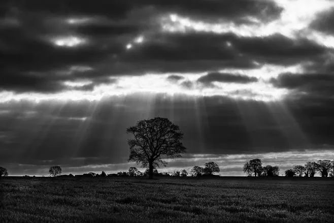徕卡镜头70mm与50mm的区别,徕卡镜头和普通镜头的区别