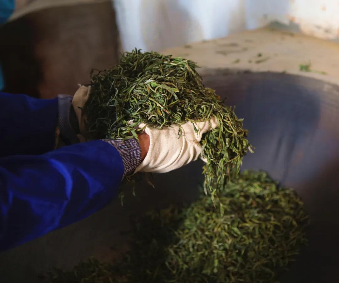 2023云南春茶著名山头价格,云南省2021老班章春茶价格