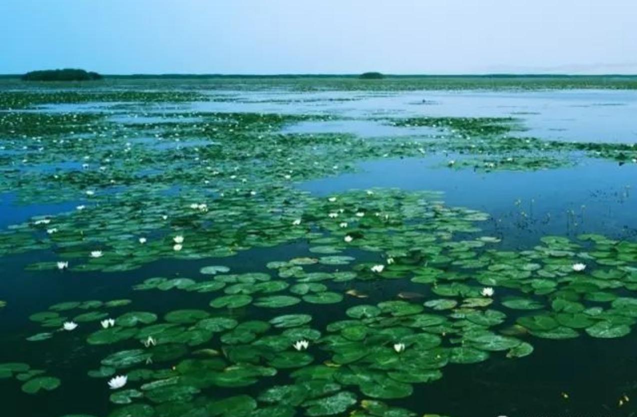 华夏第一州新疆巴州,华夏第一县简介