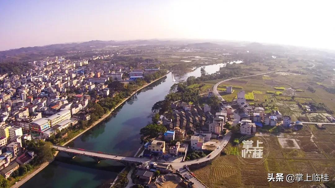 临桂区新建5所学校,临桂新区有哪些学校