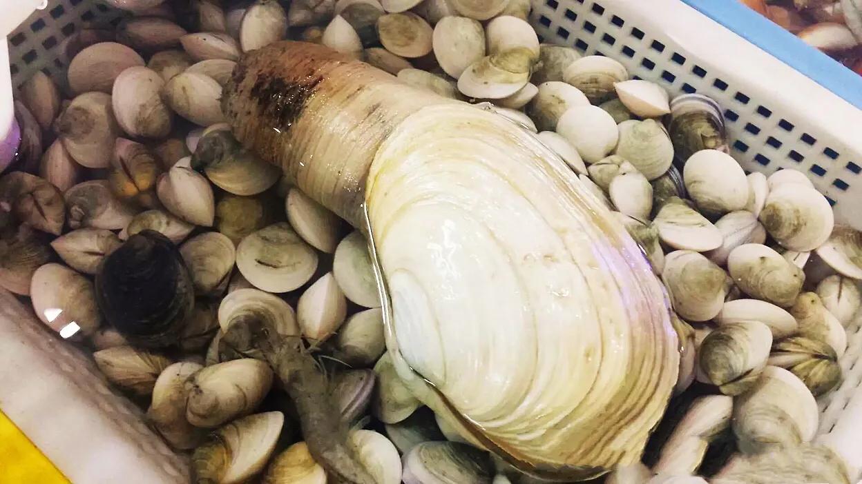 揚州雖然不是沿海城市但是海鮮產品還是挺豐富的