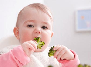 过敏体质宝宝如何添加辅食,1-2岁过敏体质宝宝辅食食谱大全