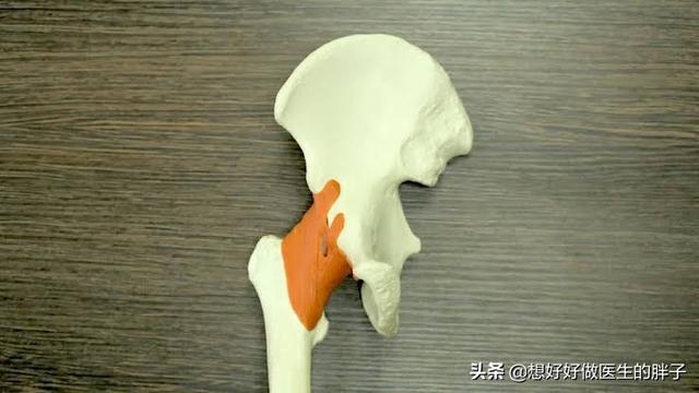 髋关节疼痛两腿不一样长如何康复,左大腿髋关节突然疼痛是什么原因