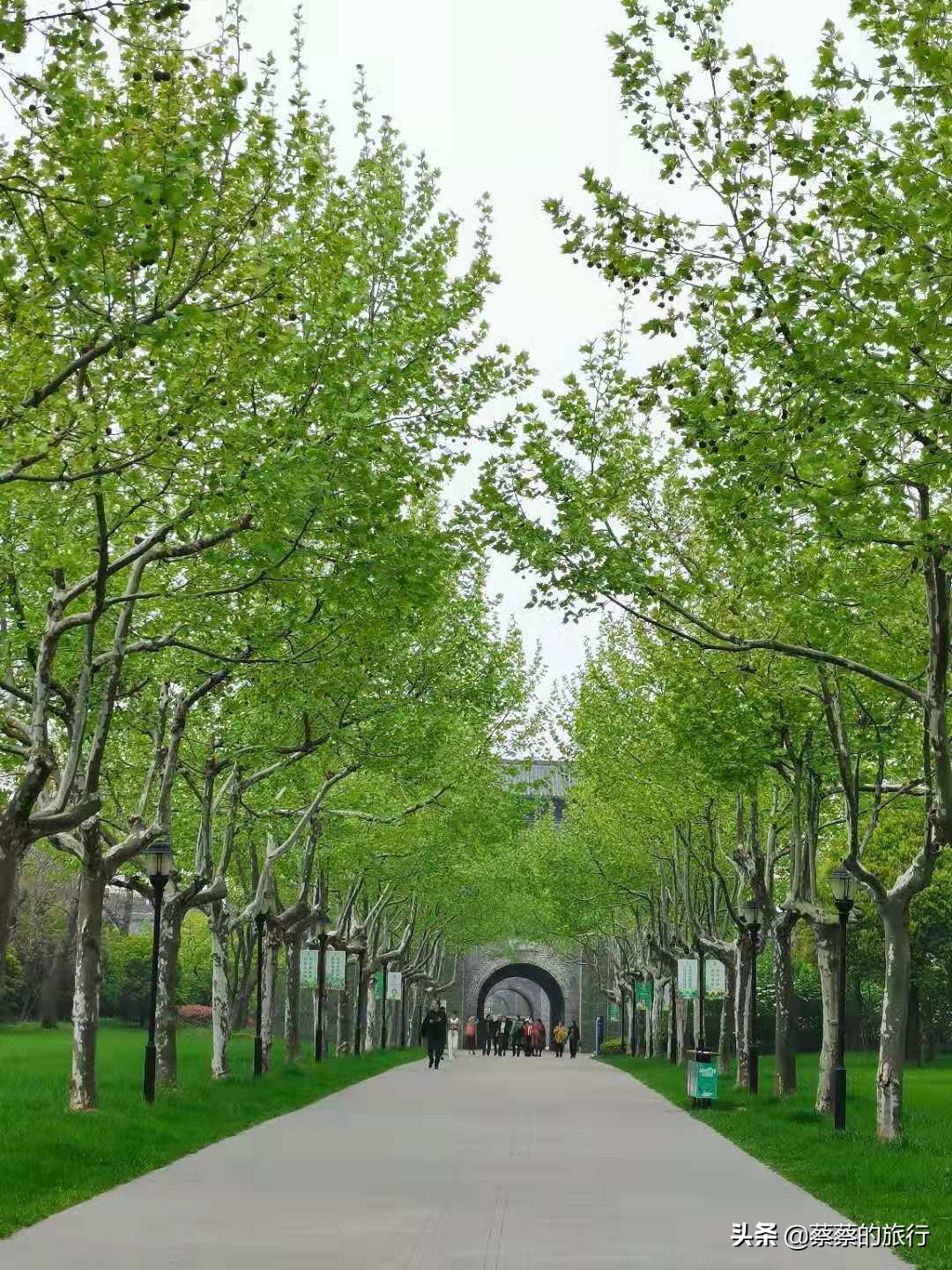 扬州旅游攻略三天两晚玩转扬州,扬州旅游攻略4-5天