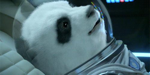 中山体彩大乐透71万元奖金背后的故事