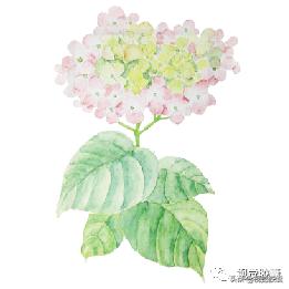 日系极简风ppt,日式极简风ppt