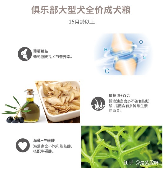 性价比超高的国产狗粮,性价比高的老牌狗粮