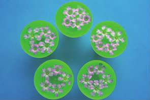 浮游花一种特别的赏花方式,赏花正确方法图片