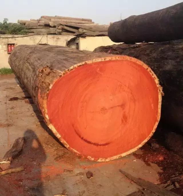 明清时期最受欢迎的7种红木用材,红木用材特征分类标准有哪些